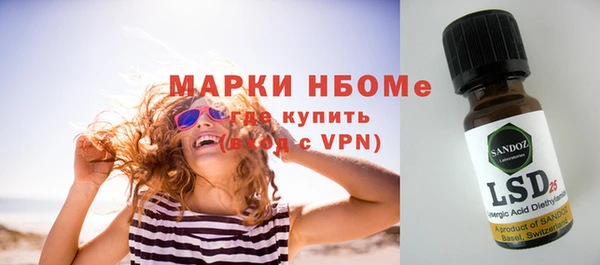 хмурый Алексин