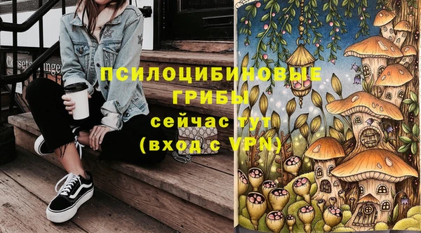 хмурый Алексин