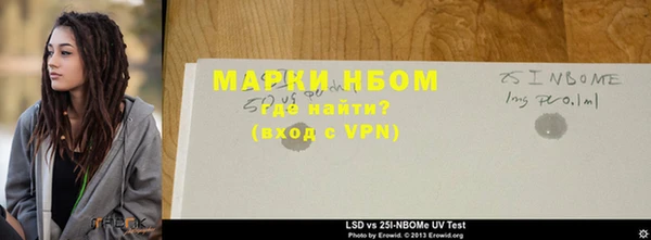 хмурый Алексин
