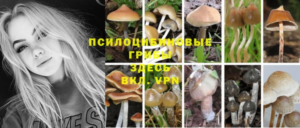 хмурый Алексин
