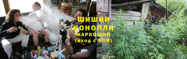 хмурый Алексин