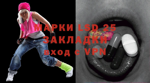 хмурый Алексин